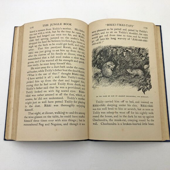 The Jungle Book Rudyard Kipling 1930 MacMillan and Co. Limited London - Picture 9 of 12